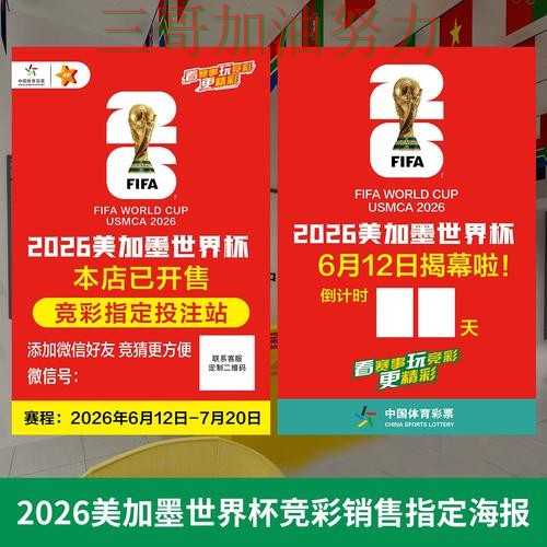 世界杯投注如何操作别乱选，全面评测给你答案（世界杯直播）